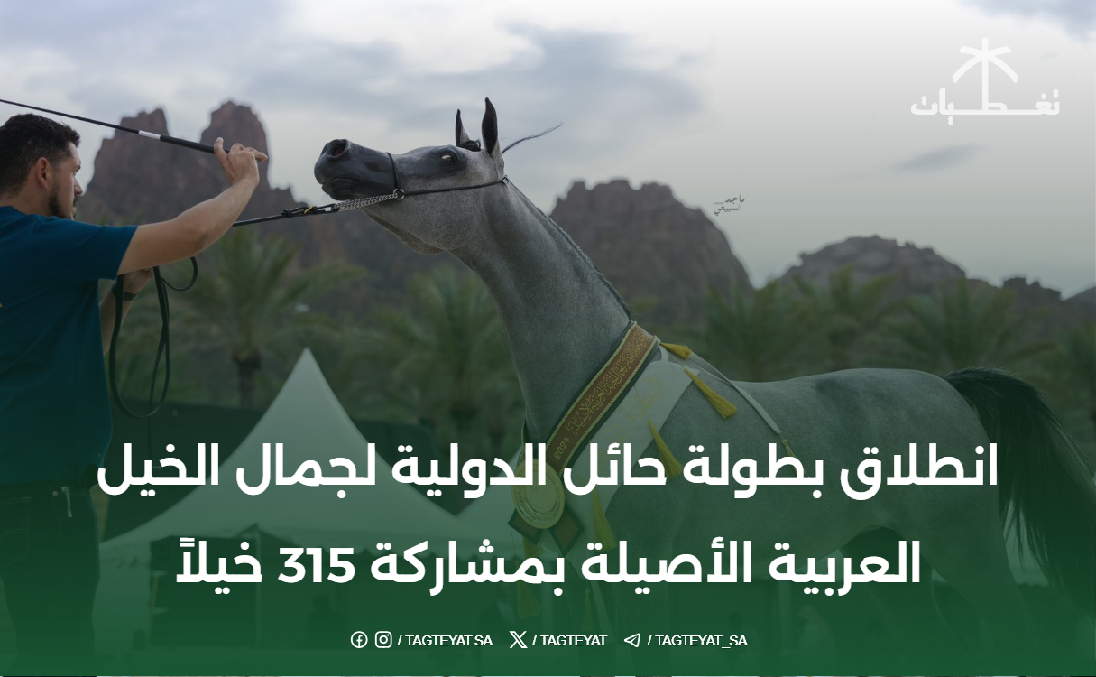 انطلاق بطولة حائل الدولية لجمال الخيل العربية الأصيلة بمشاركة 315 خيلاً