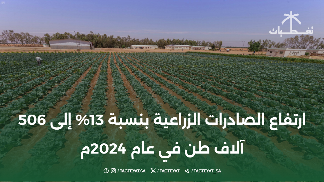 ارتفاع الصادرات الزراعية بنسبة 13% إلى 506 آلاف طن في عام 2024م