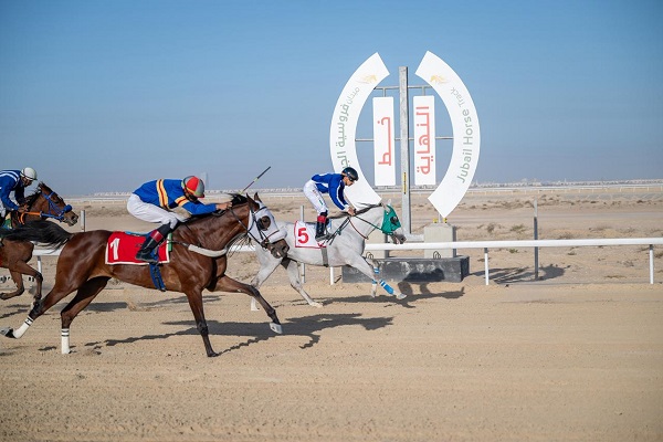 ميدان فروسية الجبيل وتأهيل 6 جياد لنهائي كأس أبطال الميادين بالرياض
