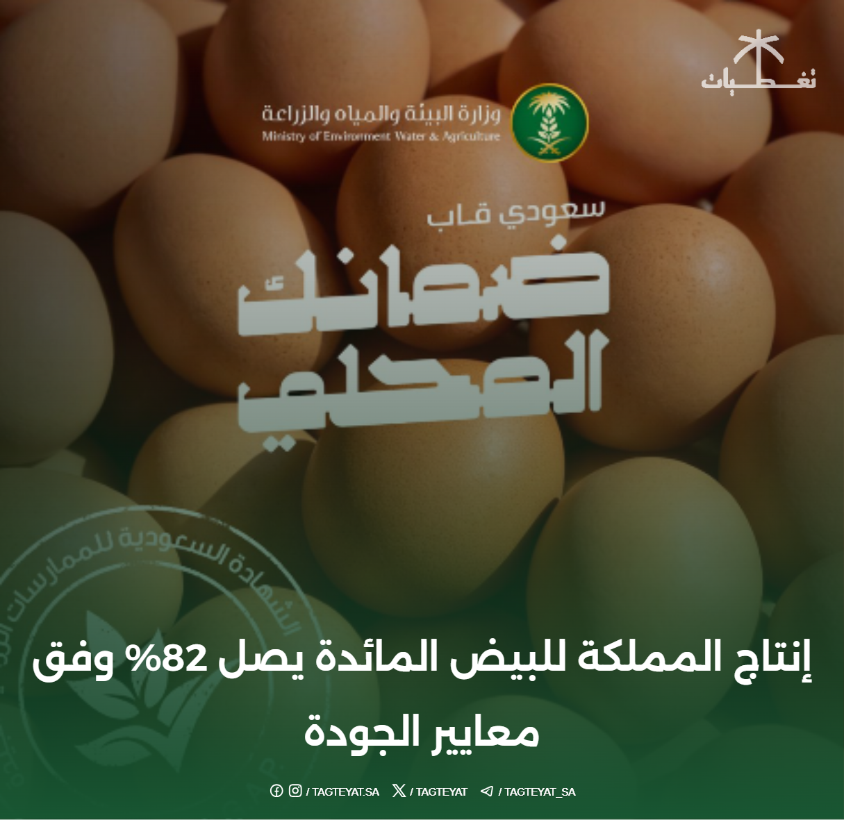 إنتاج المملكة للبيض المائدة يصل 82% وفق معايير الجودة