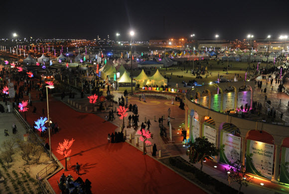resized_DSC_8264