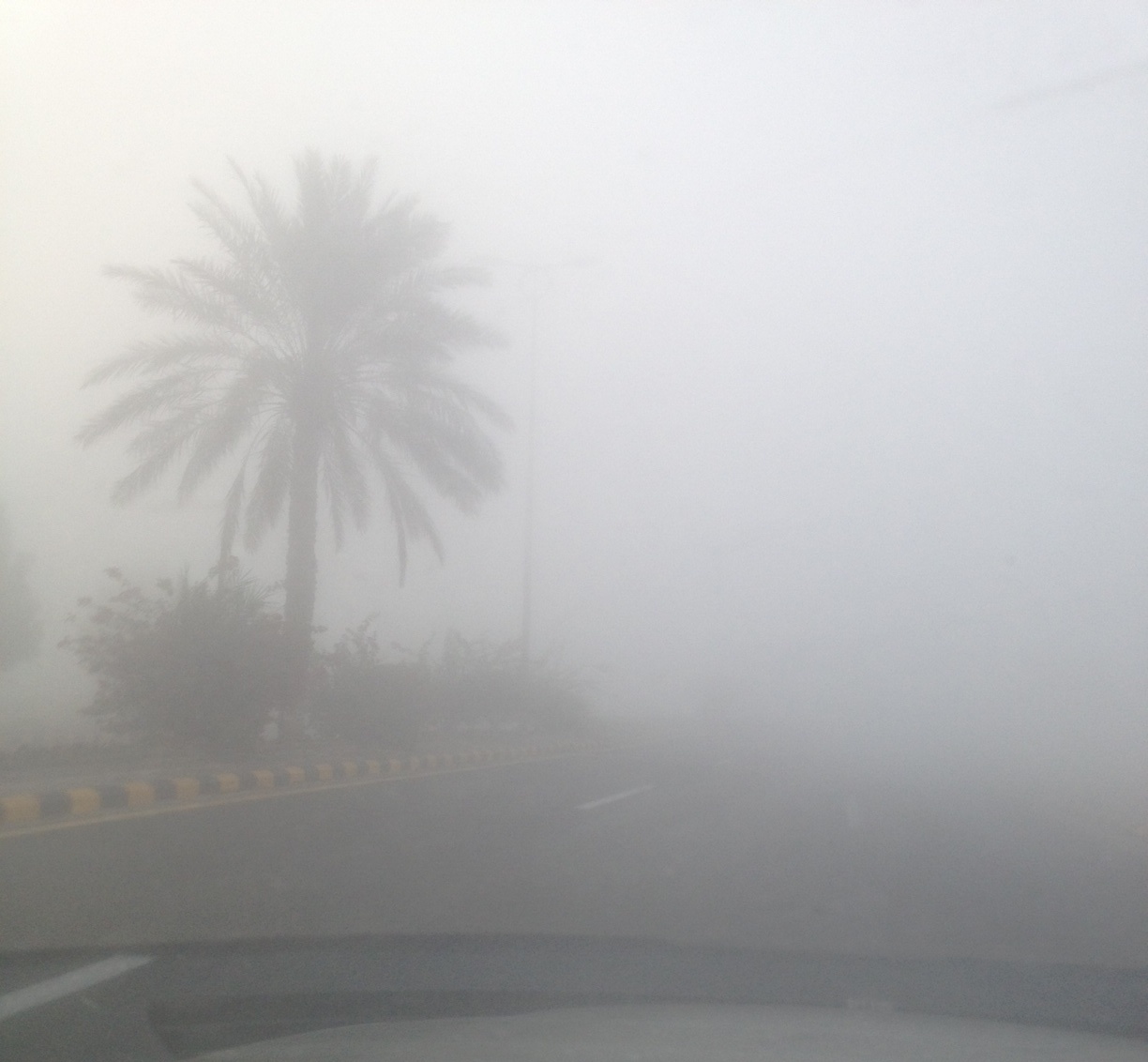 الضباب في الجبيل: انخفاض الرؤية
