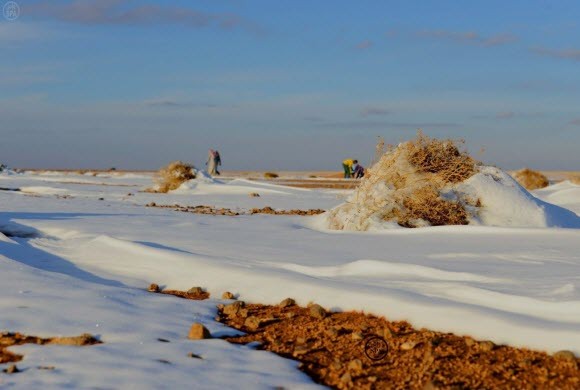 000-3404873711420968001610