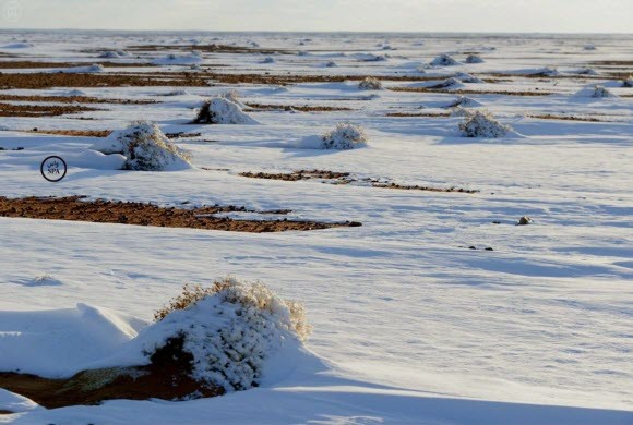 000-9017071641420968056139