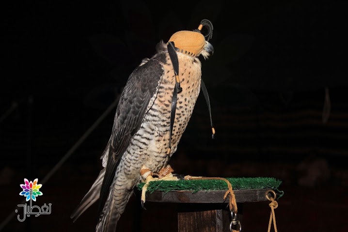 327b395f-5686-45a5-b2b6-d19a35706f6d