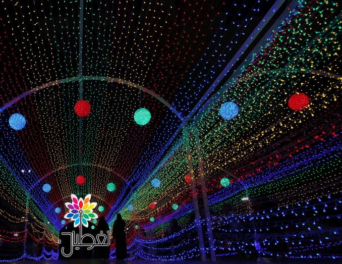 683ef0d8-f749-4183-b9f1-781c8cfd528a