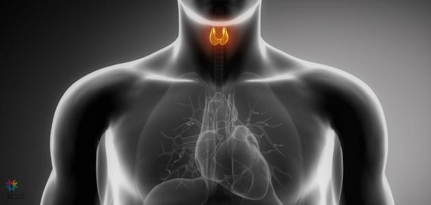 زيت جوز الهند العلاج السحري لقصور الغدة الدرقية