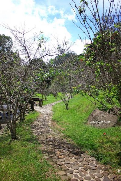 5cdcf630-7dc7-45f4-ad06-a9b6b5775ee5