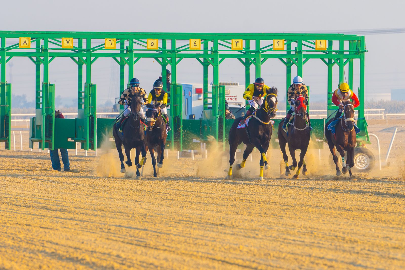 ميدان فروسية الجبيل - 