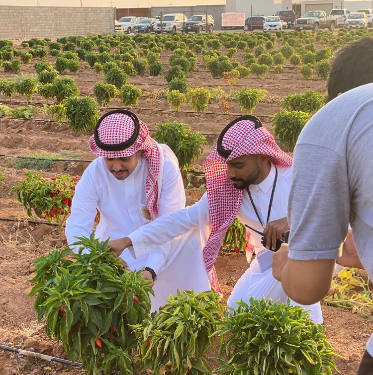 14abbedb e533 4a15 8c64 06f83b7c742d