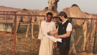 92fad394 9a52 4a5d aa96 07c3336770b5