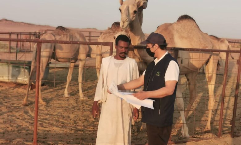 92fad394 9a52 4a5d aa96 07c3336770b5