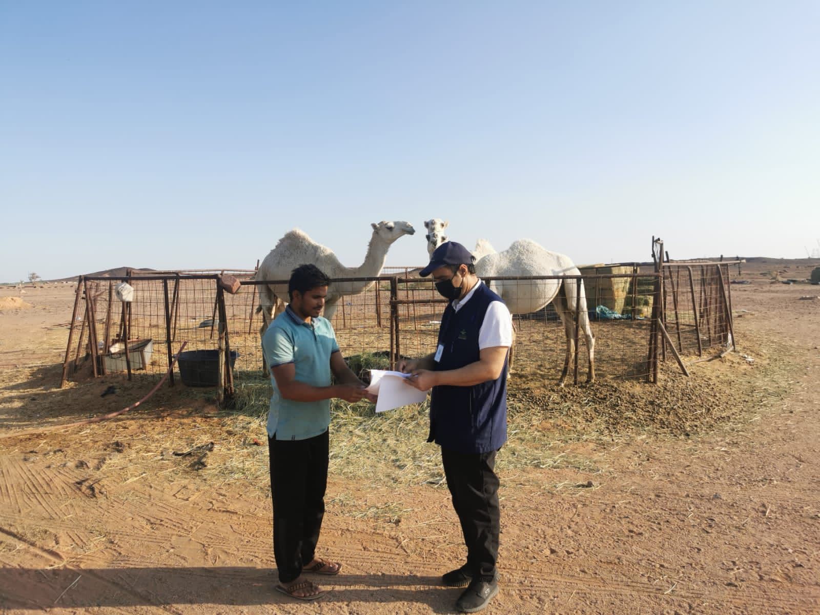 9c5454ba f0c1 49b2 b207 a1244bbae023